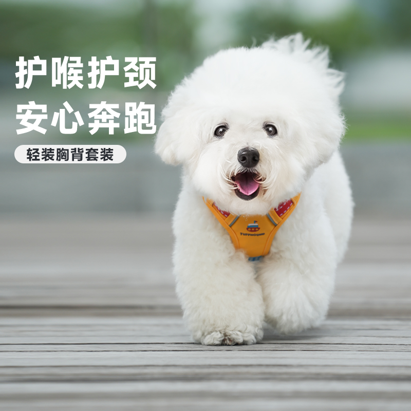 它愿狗狗牵引绳胸背带不勒脖小型犬比熊泰迪公园遛狗绳小狗牵狗绳