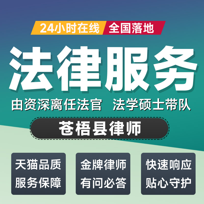 苍梧县律师法律咨询开庭起诉书网上立案离婚借贷出庭调解代写拟文