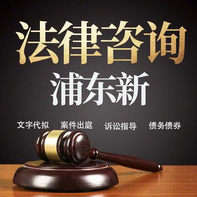 法律咨询浦东新在线服务合同协议离婚债务刑事房产劳动起诉书