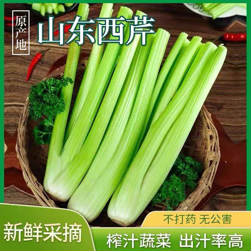 新鲜芹菜时令蔬菜西芹