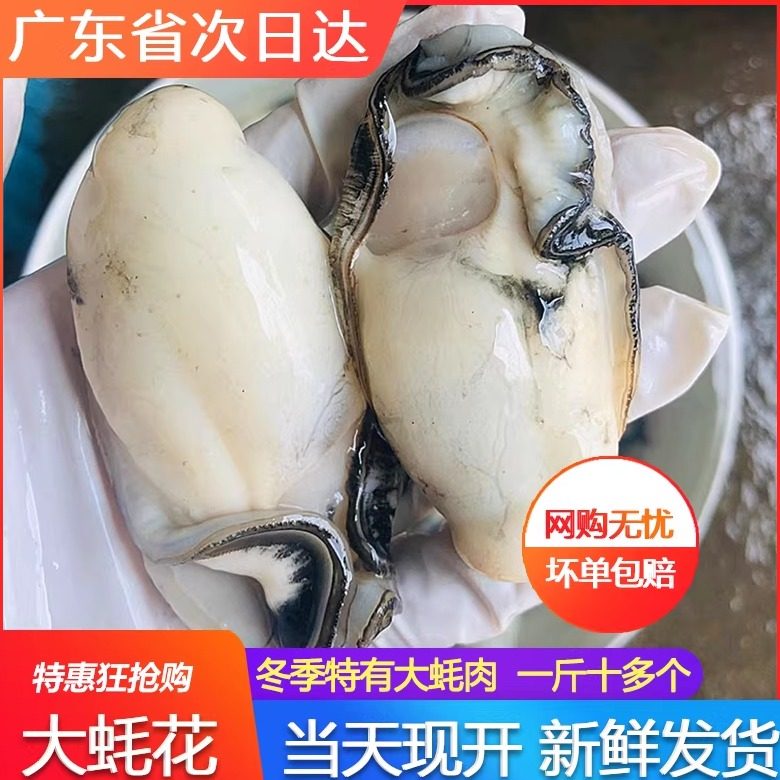 生蚝肉鲜活现剥特大超大去壳牡蛎