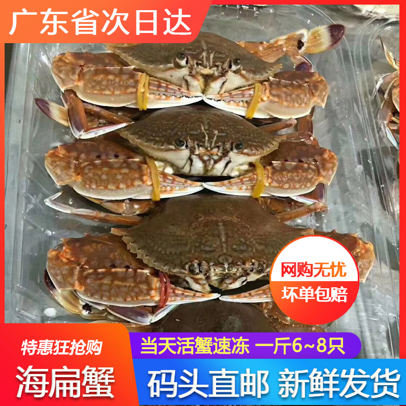 野生海扁蟹肉蟹煲速冻水产海捕冷冻新鲜红公螃蟹青蟹梭子蟹广东