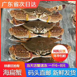 野生海扁蟹肉蟹煲速冻水产海捕冷冻新鲜红公螃蟹青蟹梭子蟹广东