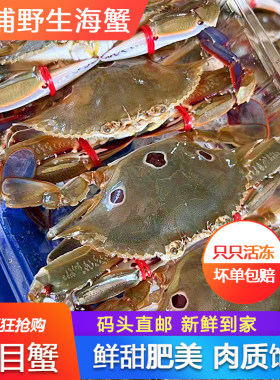 三目蟹鲜活大速冻海鲜水产深海