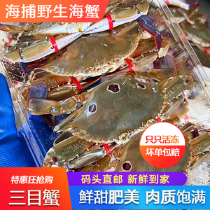 三目蟹鲜活大速冻海鲜水产深海