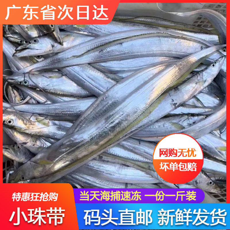 黄金珠带鱼新鲜海鲜冷冻鲜活