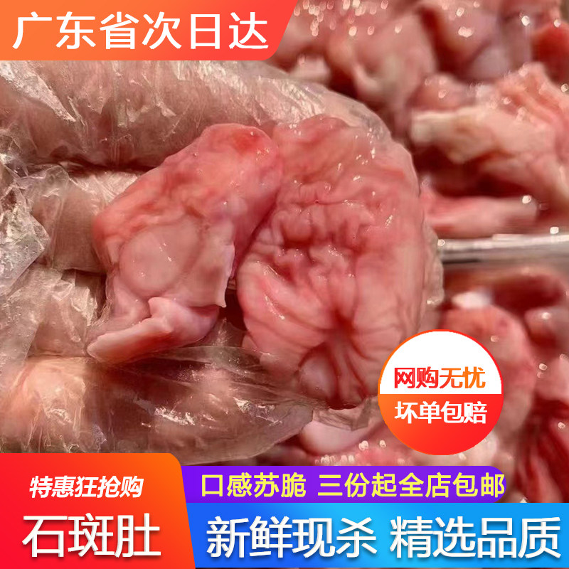 深海石斑鱼肚新鲜鱼泡鱼鳔商用