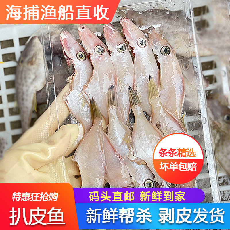 小扒皮耗儿鱼新鲜冷冻小号马面鱼