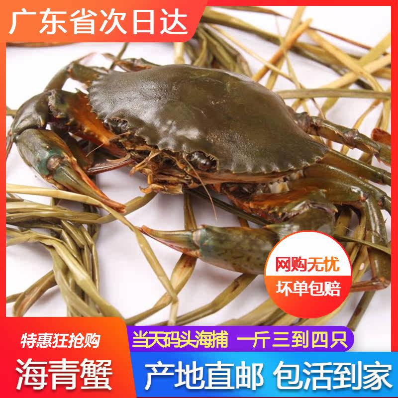青蟹鲜活肉蟹公蟹海鲜水产一斤约三四只海螃蟹送礼拍两斤包邮顺丰