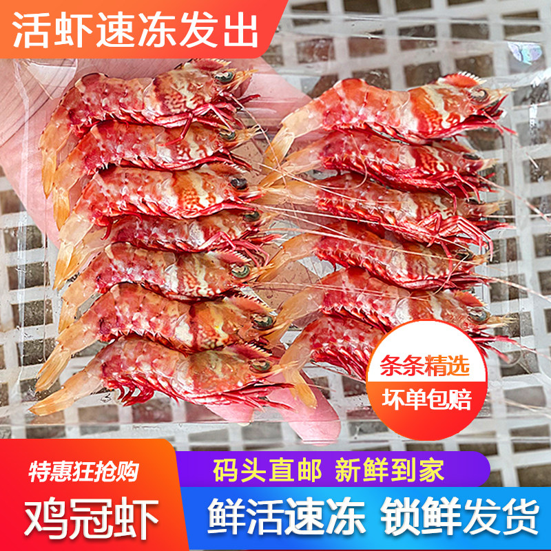 鸡冠虾新鲜活速冻海鲜水产刺身樱花虾红虾一斤广东发货酒店餐厅