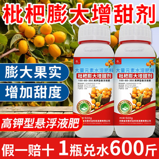枇杷膨大增甜剂膨果上色膨大剂果树琵琶专用叶面肥水溶肥