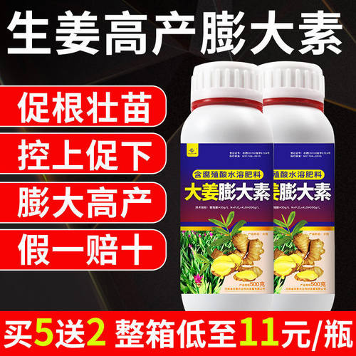 生姜专用肥料叶面肥用大姜根茎