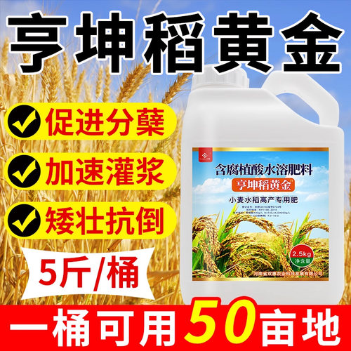 亨坤稻黄金水稻专用叶面肥水稻粒粒饱水溶肥千粒饱高产分蘖灌浆肥