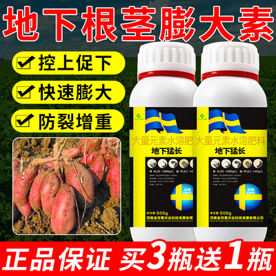 根茎块茎膨大素大姜非花生水溶