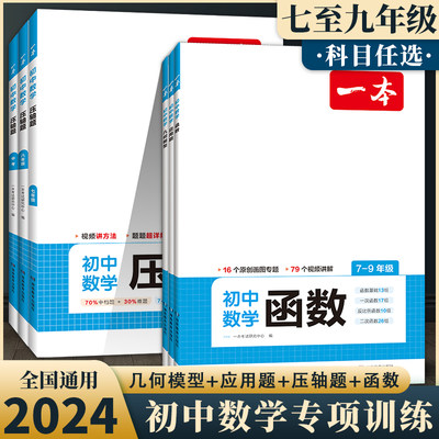 2024版一本初中数学专项训练