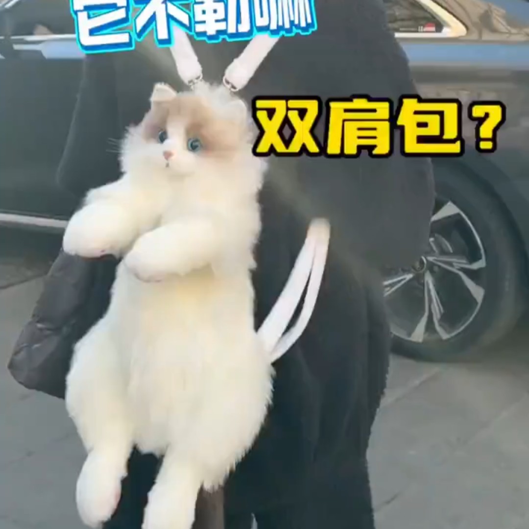 仿真布偶猫咪背包玩偶同款公仔毛绒娃娃玩具生日礼物闺蜜女朋友