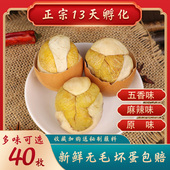 40枚活珠子开袋即食香辣味毛蛋活珠子熟钢化蛋凤凰蛋新鲜13天送料