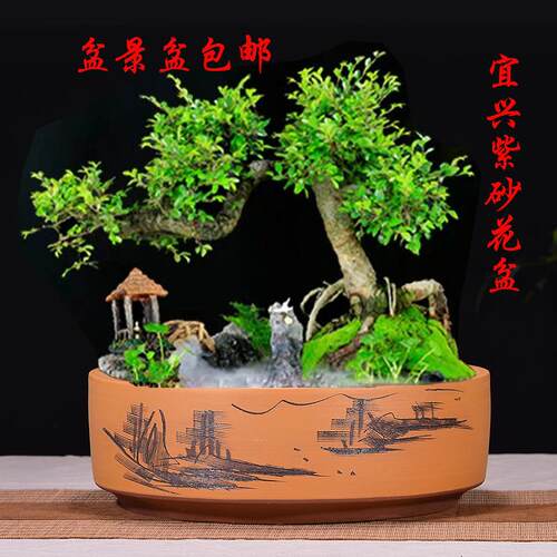 大口径盆景花盆宜兴紫砂龟背竹散尾葵绣球花多肉拼盘绿植陶瓷花盆