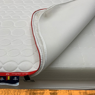 德国6D纤维丝床垫可水洗543D护脊席梦思儿童榻榻米垫可定制2.2m米