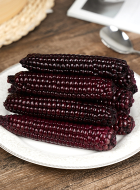 西双版纳紫糯黑拇指玉米宝宝代餐早餐小手指软糯香糯迷你真空袋装