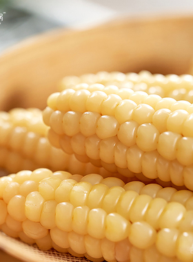 云南西双版纳拇指玉米宝宝代餐软糯香糯手指小孩早餐无添加真空袋