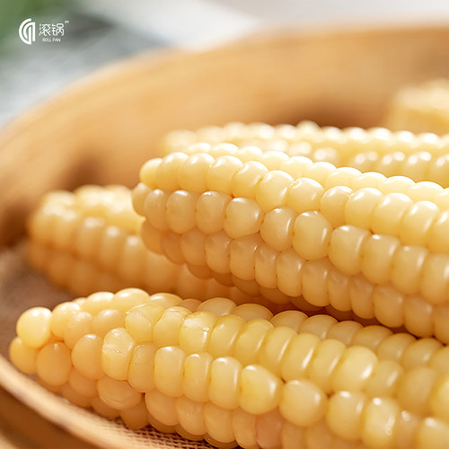 【新鲜甜糯】正宗版纳拇指玉米