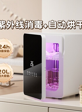 韩国babybrezza奶瓶消毒柜婴儿宝宝带烘干一体紫外线消毒器二合一