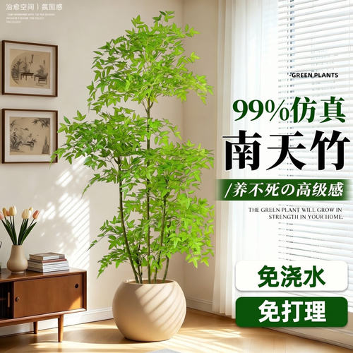 云格丽高级感仿真绿植南天竹
