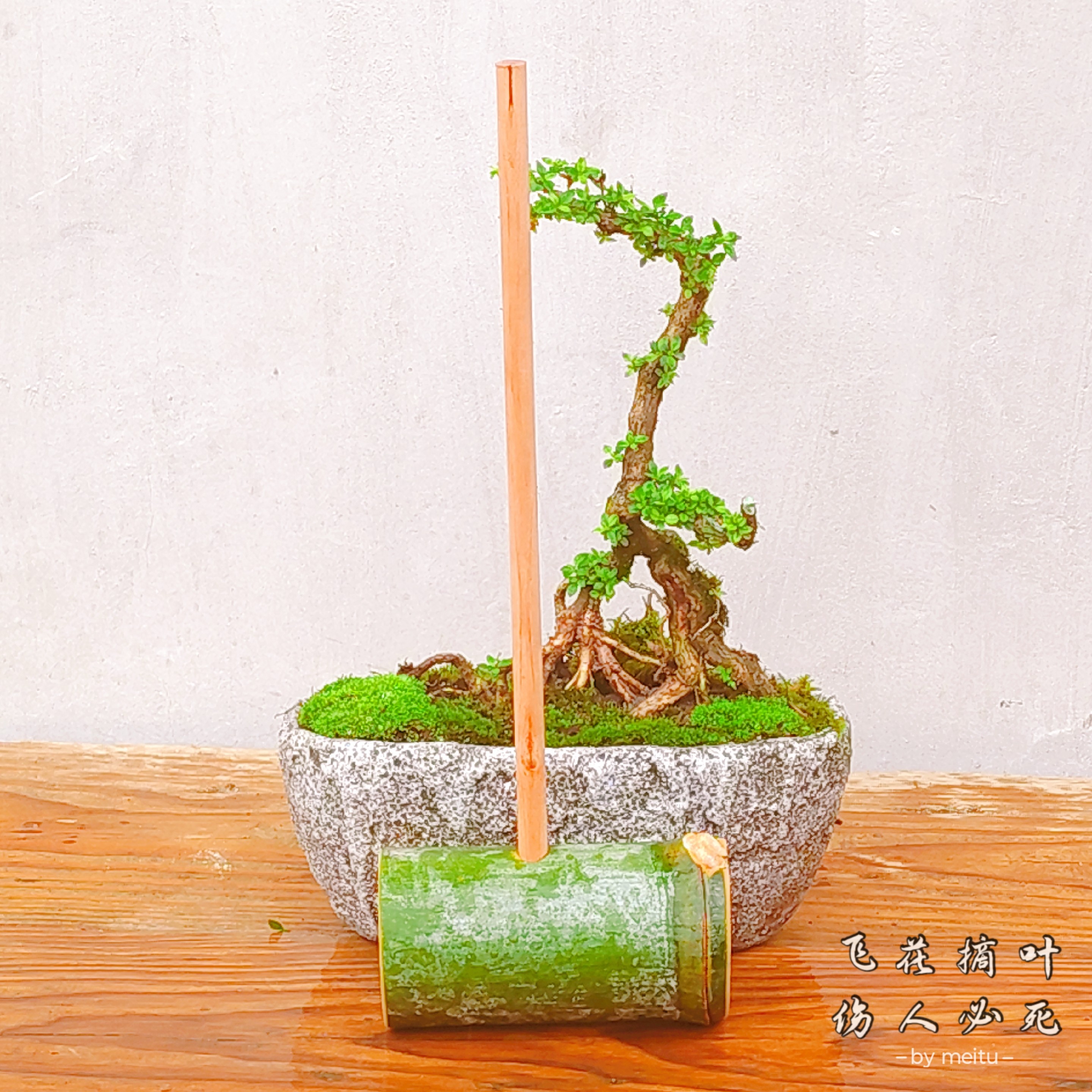 幼儿园玩水玩沙竹筒舀水器打水勺子长柄竹制品现砍现发纯天然水勺