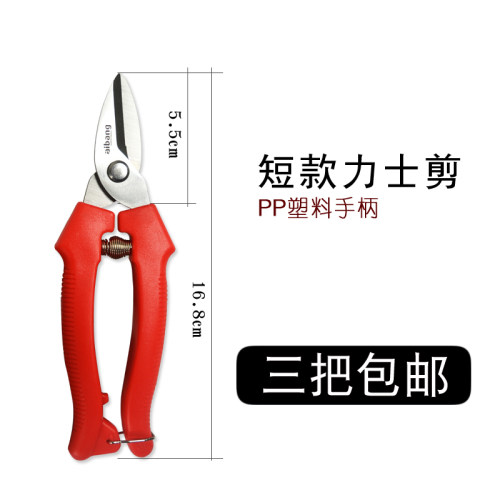 园艺剪刀修枝剪葡萄剪采果芽剪果树剪刀家用省力树枝剪子修花剪刀
