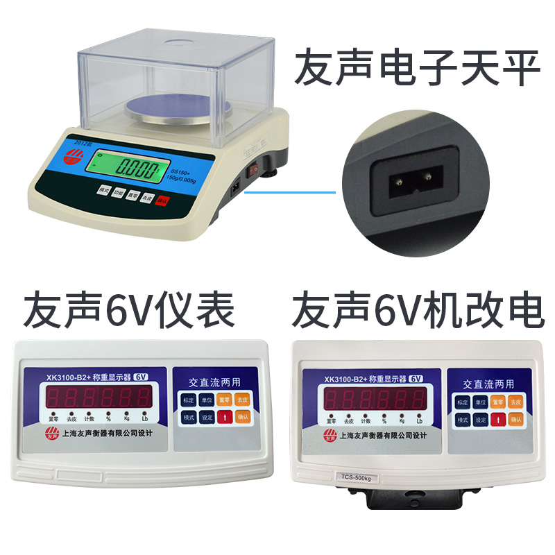 上海友声电子秤6V4V充电器 电源线BS双孔单槽插电线 台秤天平配件