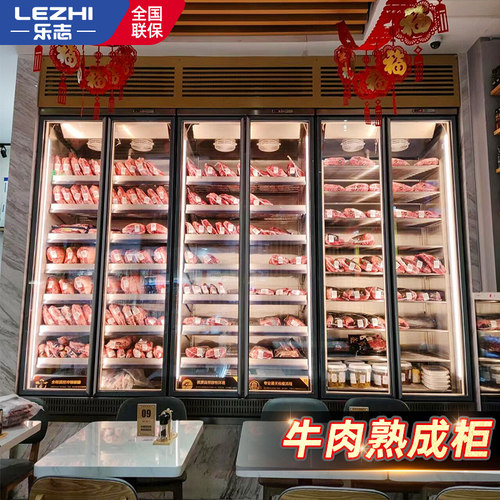 牛肉干 干湿式熟成柜红酒柜恒温商用冷藏深海鱼和牛冷冻展示柜排