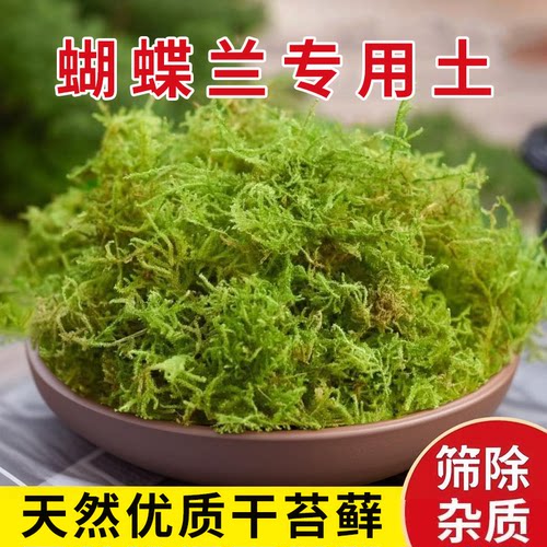蝴蝶兰专用土青苔水苔天然干苔藓兰花营养土石斛兰植料盆栽种植土