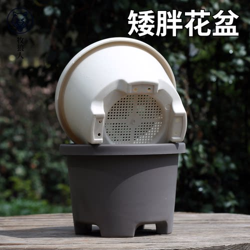牧狼人塑料花盆朱顶红铃兰花矮牵牛天竺葵球根草花盆栽专用种植盆 - 封面