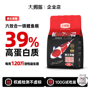 大拇指锦鲤专用鱼饲料观赏鱼鱼粮增肥色扬鱼食上浮下沉鱼料不浑水