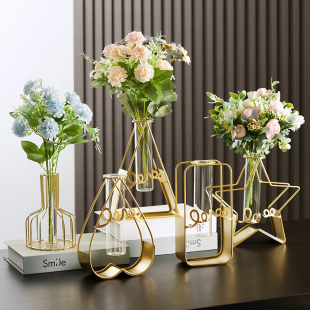 风试管透明玻璃花瓶摆件客厅干花插花器装 饰创意简约水养 北欧ins