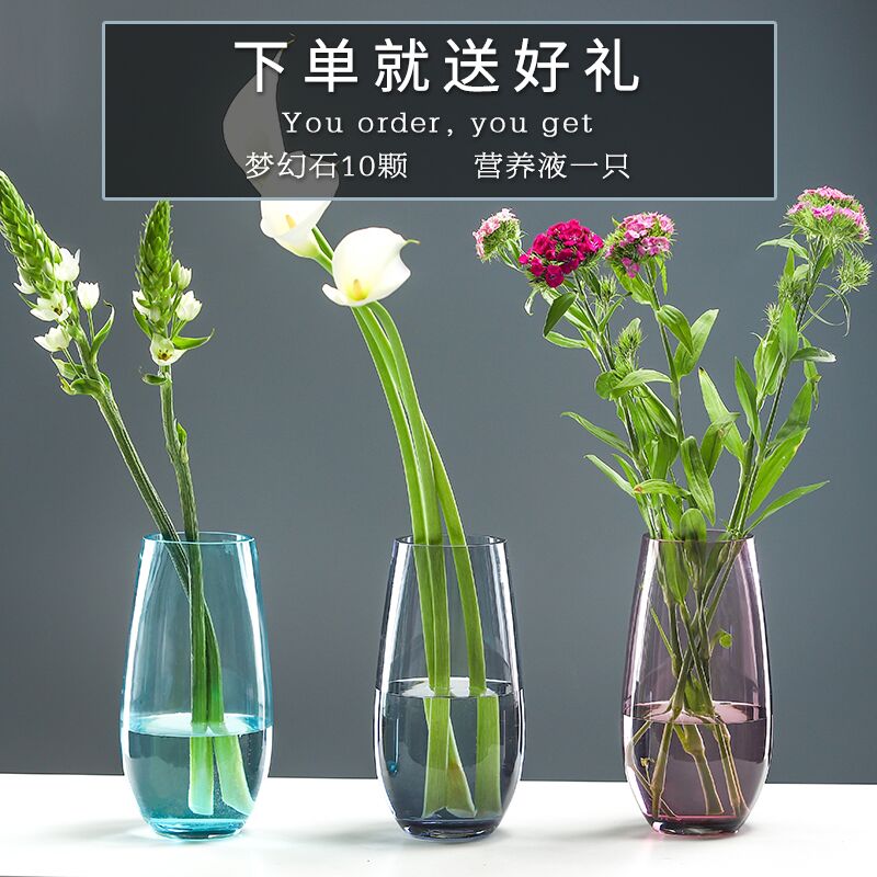 现代简约花瓶透明插花富贵竹干花