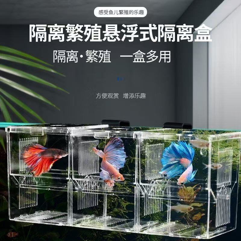 亚克力悬浮多功能孵化器热带鱼