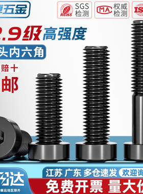 12.9级高强度薄头内六角螺丝钉矮头六角螺栓M4M5M6M8M10M12M14M16