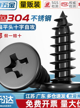 CA 黑色304不锈钢 扁平头十字自攻螺丝 大薄头子平头尖尾沉头螺钉
