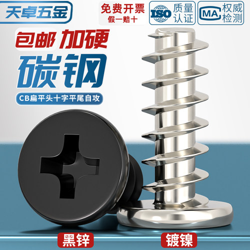 【全网热销】扁平头平尾自攻钉