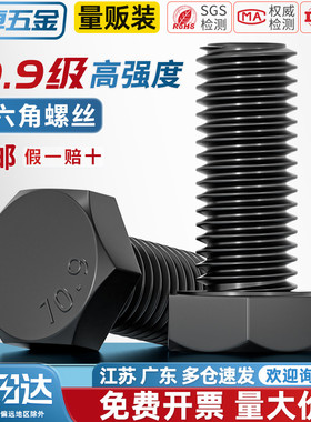 M6-M64 10.9级外六角螺丝高强度螺栓加长螺杆M8M10M12M14M16M18mm