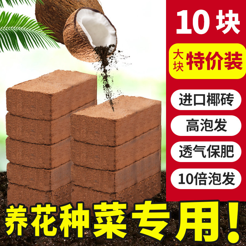 椰砖营养土清仓通用型椰土壤椰糠粗椰壳种菜种花养花大块种植耶砖在类目 鲜花速递/花卉仿真/绿植园艺, 园艺用品, 家庭园艺肥料/营养土/营养液中 - 来自Buy2taobao.com提供专业的淘宝代购服务