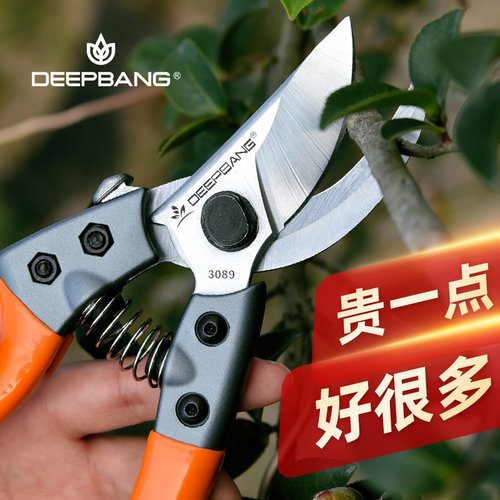 果树修枝剪刀园林花苗剪专用进口