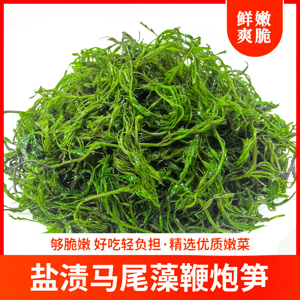 新鲜盐渍马尾藻鞭炮笋羊栖菜海草长寿菜凉拌火锅串串食材商用批发 - 实物图