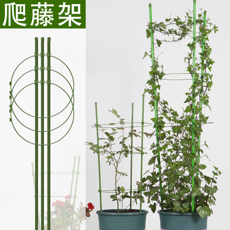 爬藤架花支架铁线莲架圆形铁艺植物架攀爬花卉支杆阳台月季常青藤