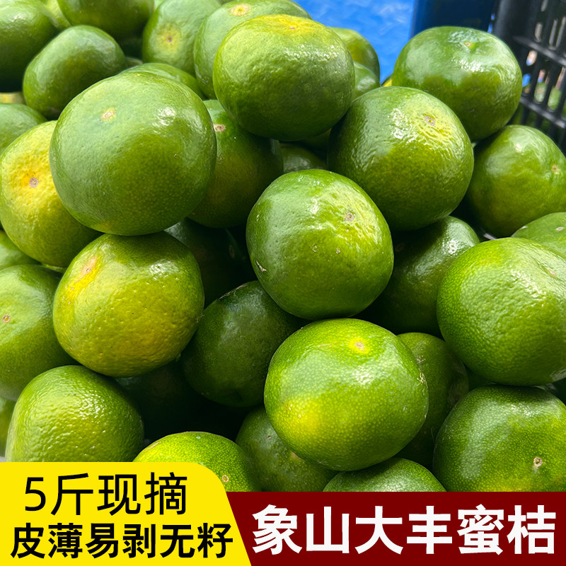 大丰蜜桔无籽蜜橘浙江宁波象山产地直发新鲜采摘皮薄正宗涌泉蜜桔