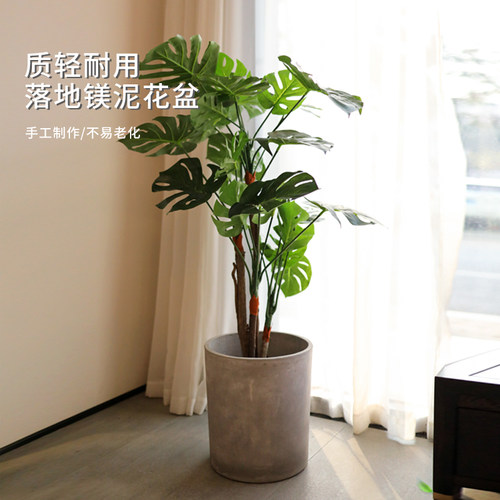 aixy水泥花盆北欧风格凤尾龟背竹