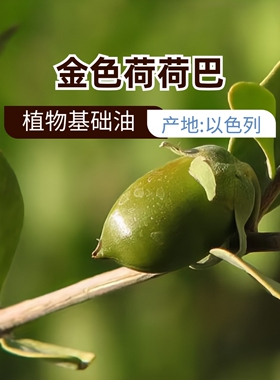 Aromaspark以色列金色荷荷巴油50mL无勾兑调和Crude原油原材料