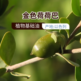 Aromaspark以色列金色荷荷巴油50mL无勾兑调和Crude原油原材料